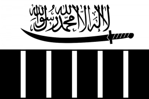 Flag of Lashkar-e-Taiba, predecessor of Jamaat ud Dawa. (ArnoldPlaton, Wikipedia)