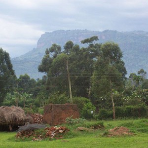 Rural Mbale in eastern Uganda. (photo Michael Shade)