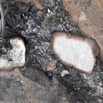 Burnt pages of Bible at church building gutted by fire in Tamil Nadu, India. (Morning Star News)