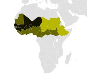 The Fulani people, estimated at 20 to 25 million, are present in a large stretch of the Sahel and West Africa. (Sarah Welch, Creative Commons).