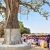 Villagers outside Ranchi, Jharkhand in tribal worship ritual at sarna tree. (Gurpreet Singh Ranchi, Creative Commons)