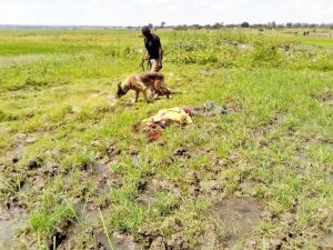 Police dog and officer with body of Simolya Latifu, killed near Molu village, eastern Uganda on July 3, 2022. (Morning Star News)