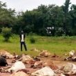 Muslim extremists slaughtered cattle of Christian in Kiboga District, Uganda on July 25, 2022 (Morning Star News)