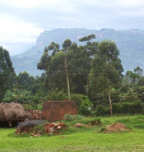 Rural Mbale, Uganda, near a Christian theological college. (Michael Shade, Creative Commons)
