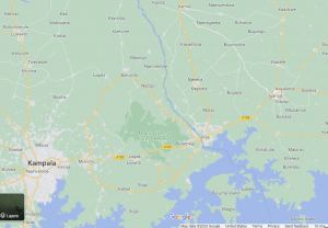Location of Iganga east of Kampala, Uganda. (Map data © 2023 Google)