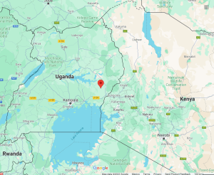 Location of Budaka in Uganda. (Map data © 2023 Google)