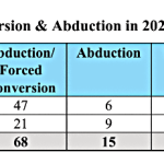 Forced conversions and abductions in Pakistan in 2024 were recorded in the Annual Human Rights Observer report on blasphemy accusations. (Center for Social Justice chart)