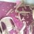 Chairs smashed in attack on church in Borsi village, Dhamtari District, Chattisgarh, India on June 8, 2025. (Morning Star News)