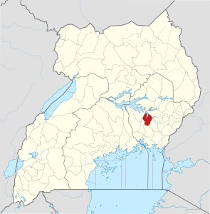 Muslim Relatives of New Christian Break into Home to Kill Him