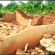 Demolished home of Wambuzi Maka Uthman after he converted to Christianity. (Morning Star News)