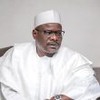 Sen. Mohammed Ali Ndume represents Borno South, Borno state, Nigeria. (Kwaro1, Creative Commons)