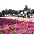 Model Town Park in Lahore, Pakistan. (Taha Tahir, Creative Commons)