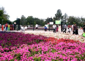 Model Town Park in Lahore, Pakistan. (Taha Tahir, Creative Commons)