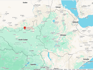Ajoang Thok Refugee Camp location in South Sudan. (Map data © 2026 Google)