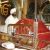 Sikh ceremonial reader reciting from the Guru Granth Sahib. (Hari Singh, Creative Commons)